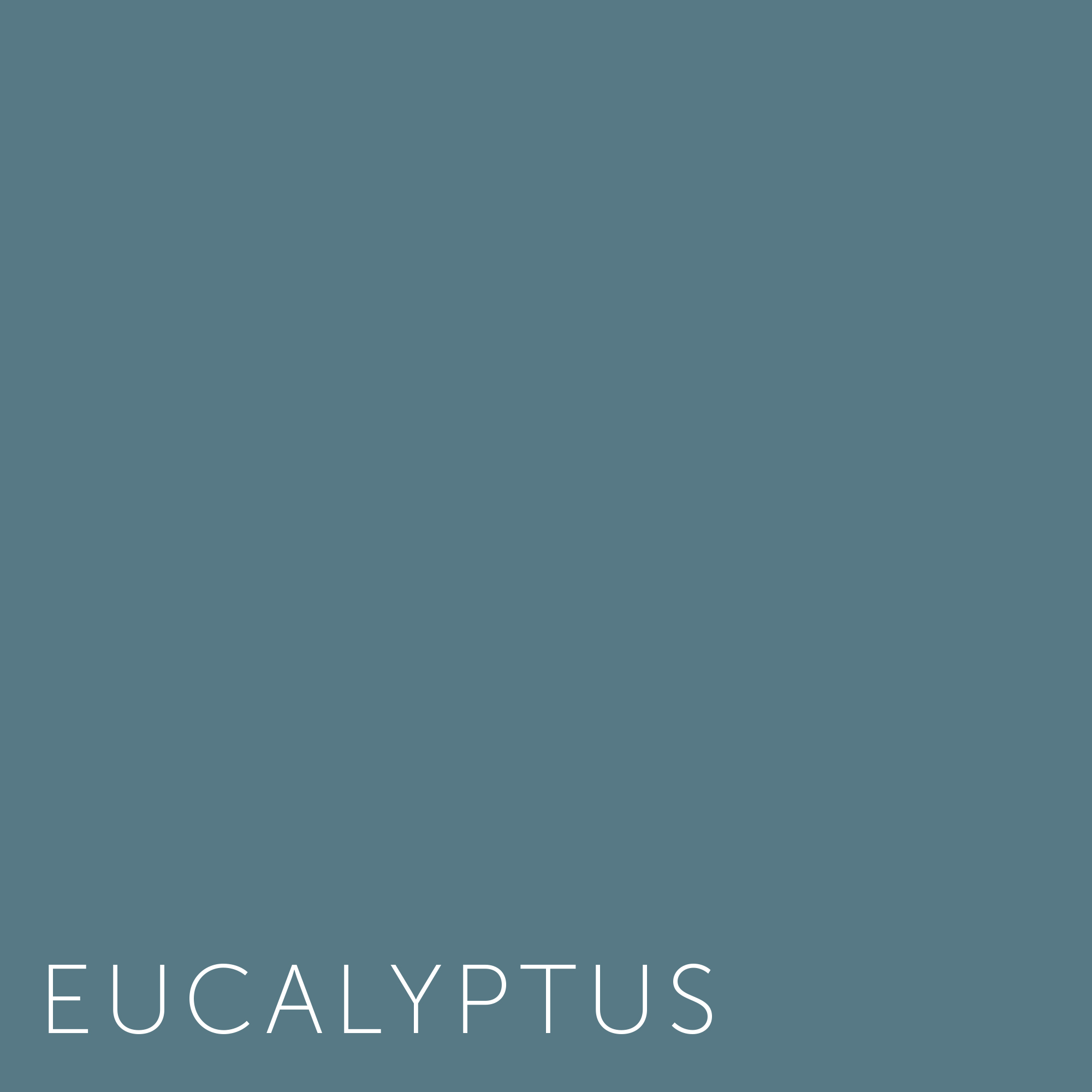 Vanaf daar krant Integreren Verf - Kleuren Eucalyptus | Home Made By