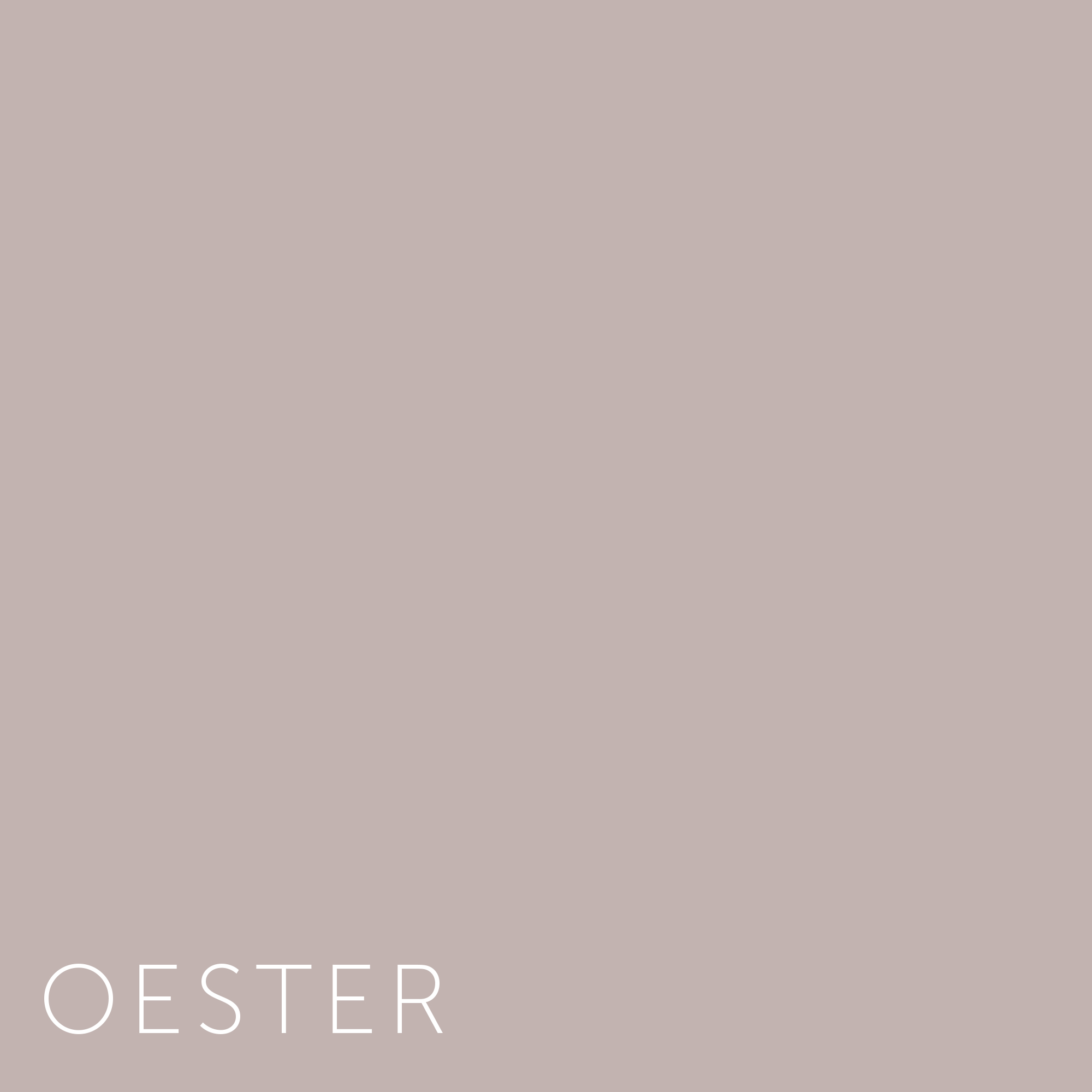 Verf - Oester | Made By
