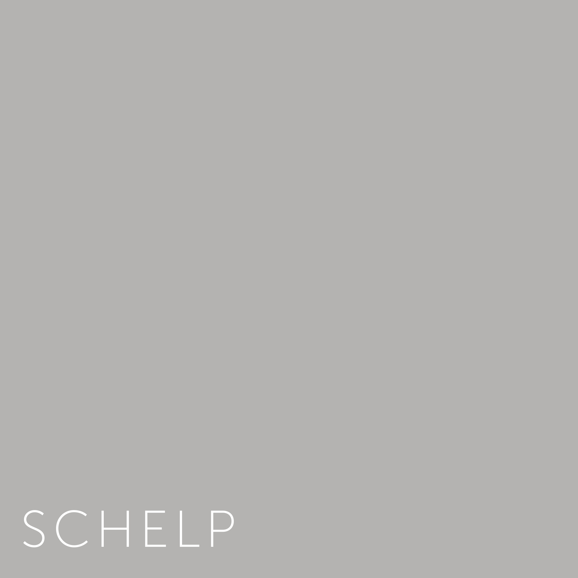 Verf Schelp | Home Made By