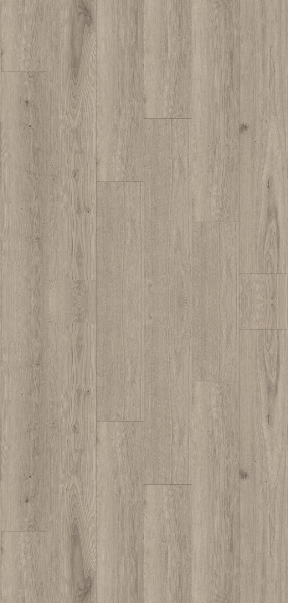 24514095 - Tarkett Supernature XXL planken 55 - Delicate oak- Clay