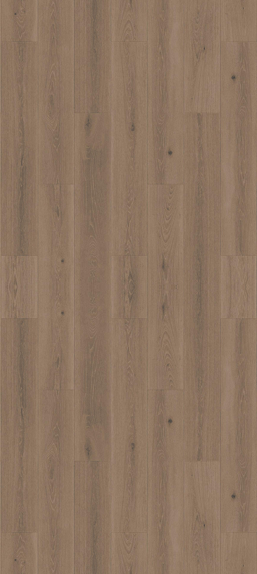 24514115 - Tarkett Supernature XXL planken 55 - Highland Oak- Light grey