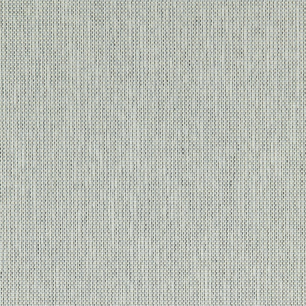 252781 - Transparant - Lichen