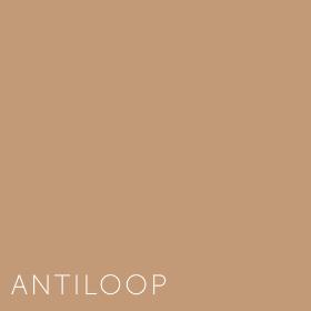 Kleuren Antiloop
