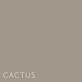Kleuren Cactus
