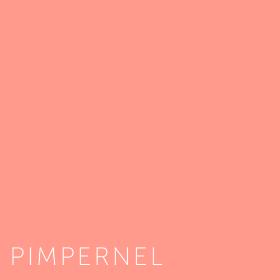 Kleuren Pimpernel
