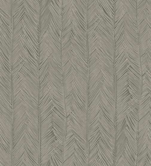 Behang Feathers