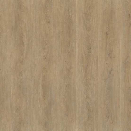 PVC 1005 - Recht