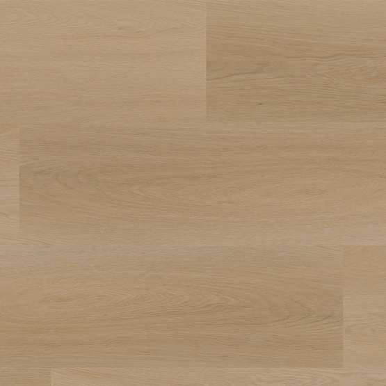 PVC 1019 - Recht