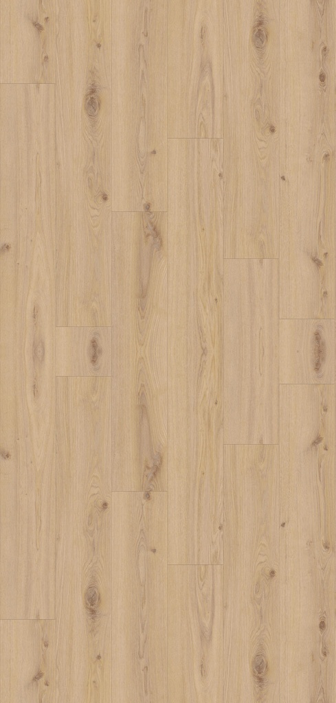 PVC Tarkett Supernature XXL planken 55