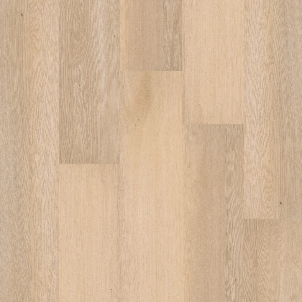 PVC Tamborine grande - Recht