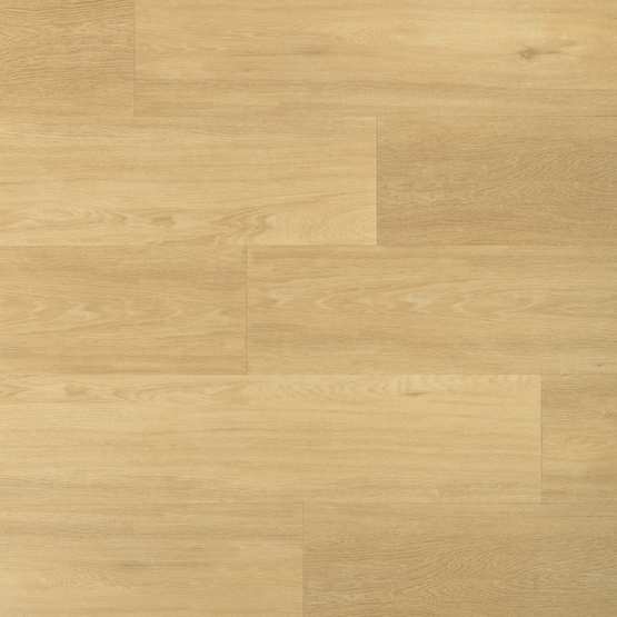 PVC 1002 r - Recht