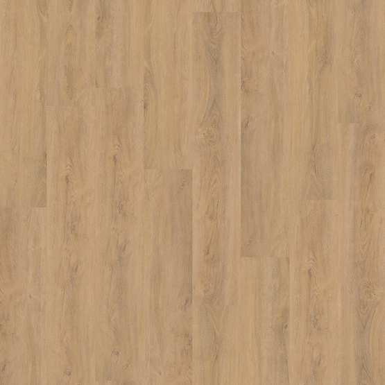 PVC 1005 r - Recht