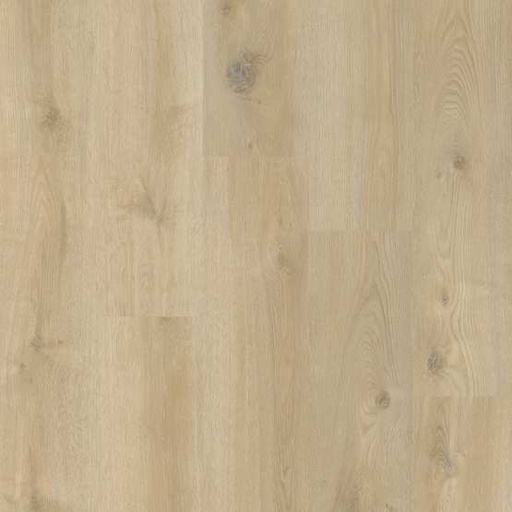 PVC 1004 - Recht