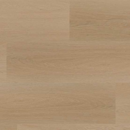 PVC 1019 - Recht